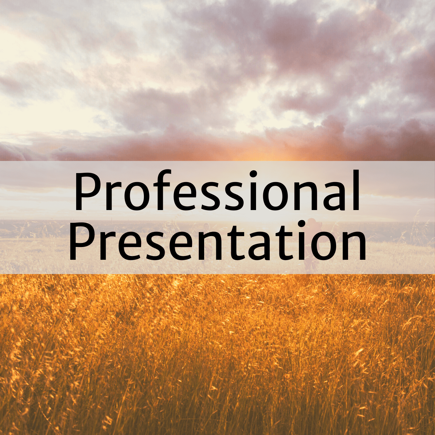 Professional Presentation
