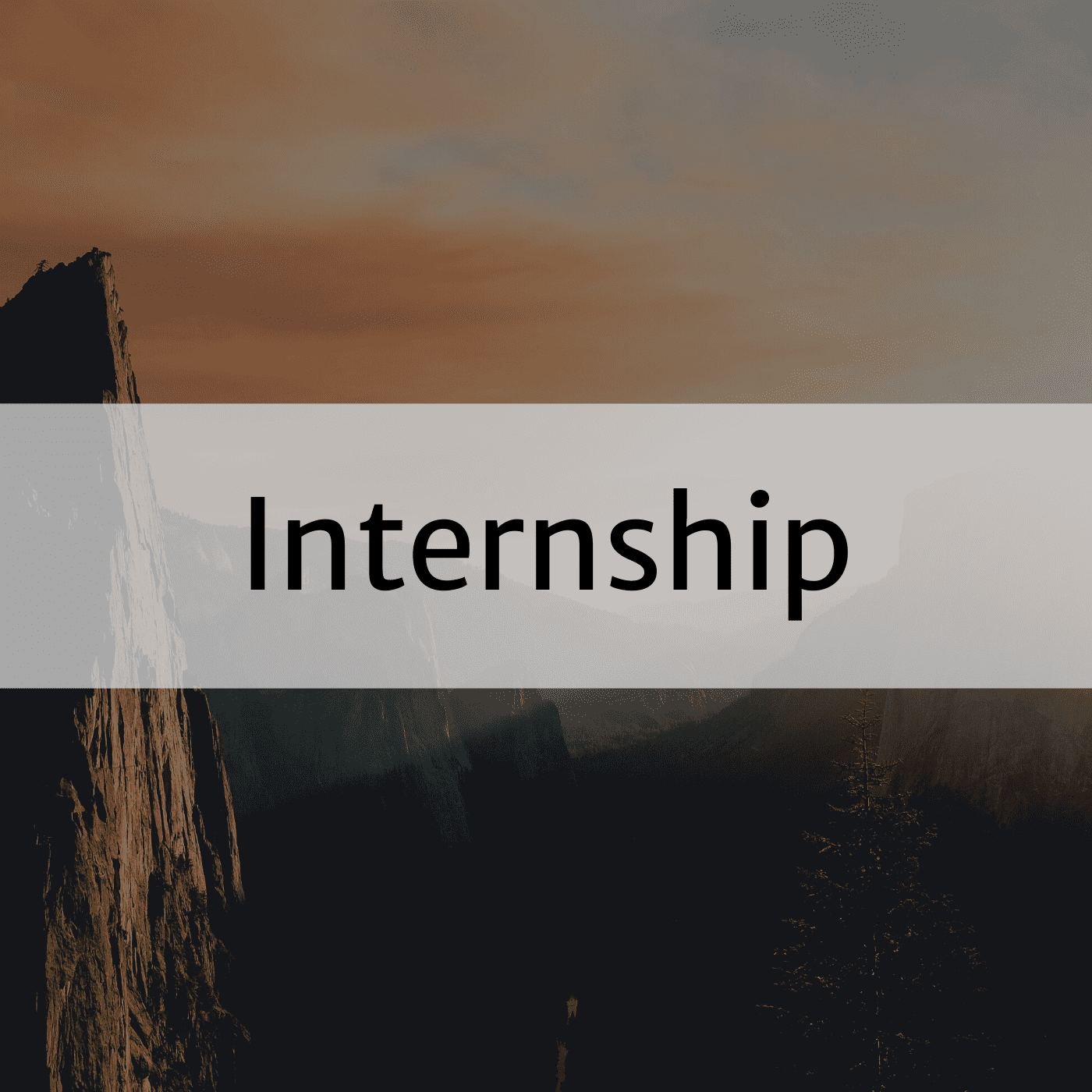 Internship